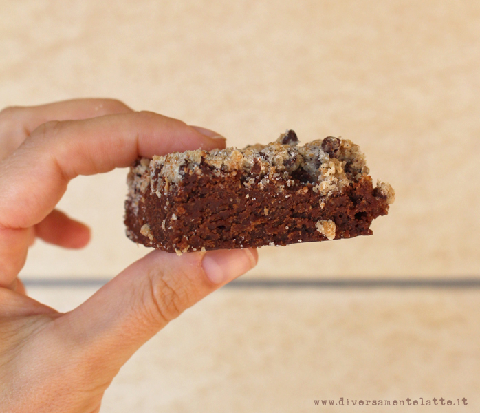 diversamentelatte brookies vegano