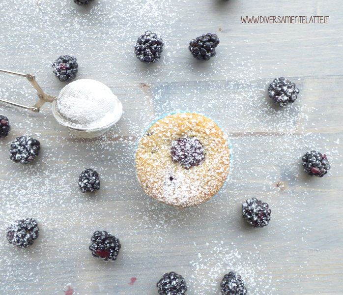 diversamentelatte muffin vegani con farina di riso alle more