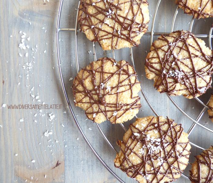 diversamentelatte biscotti al cioccolato e cocco senza glutine