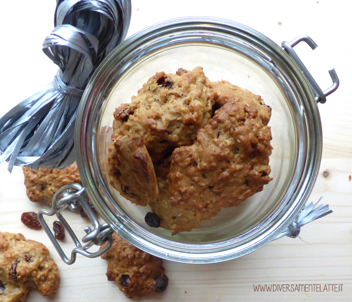 diversamentelatte biscotti con avena agli agrumi senza lattosio senza uova