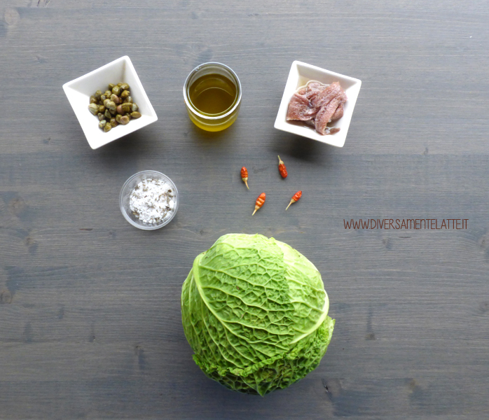 diversamentelatte ingredienti pesto di cavolo verza