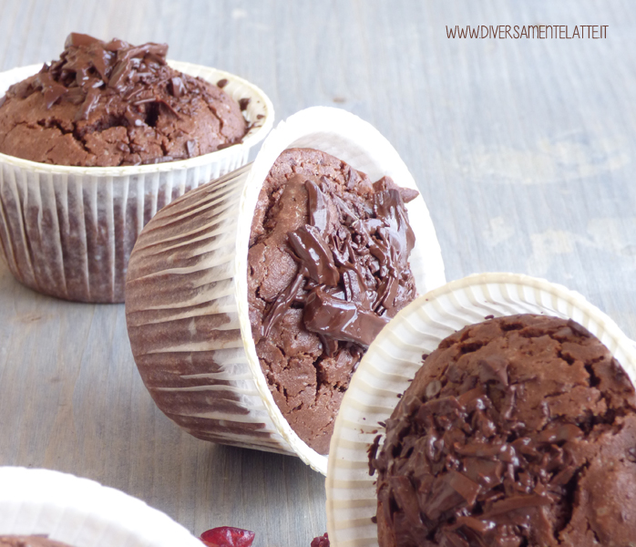 diversamentelatte muffin al cioccolato senza glutine