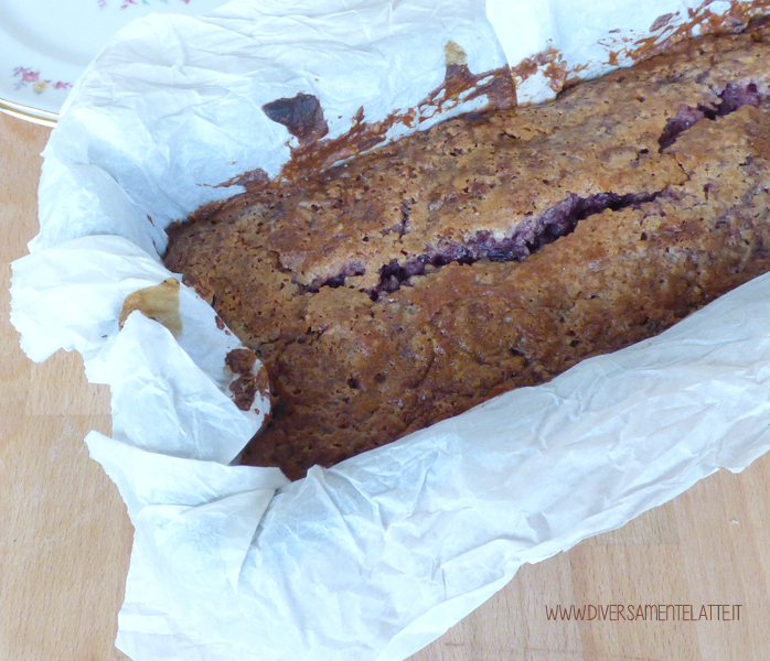 diversamentelatte plumcake di carote viola senza burro