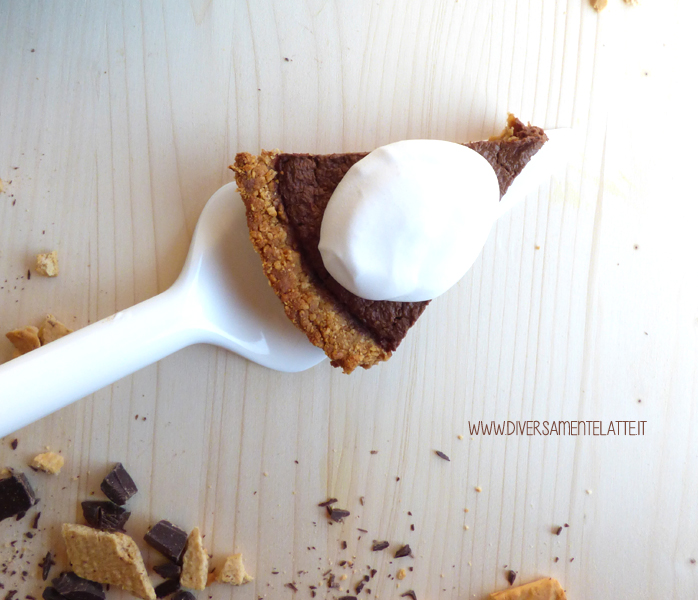 diversamentelatte torta di zucca e cioccolato