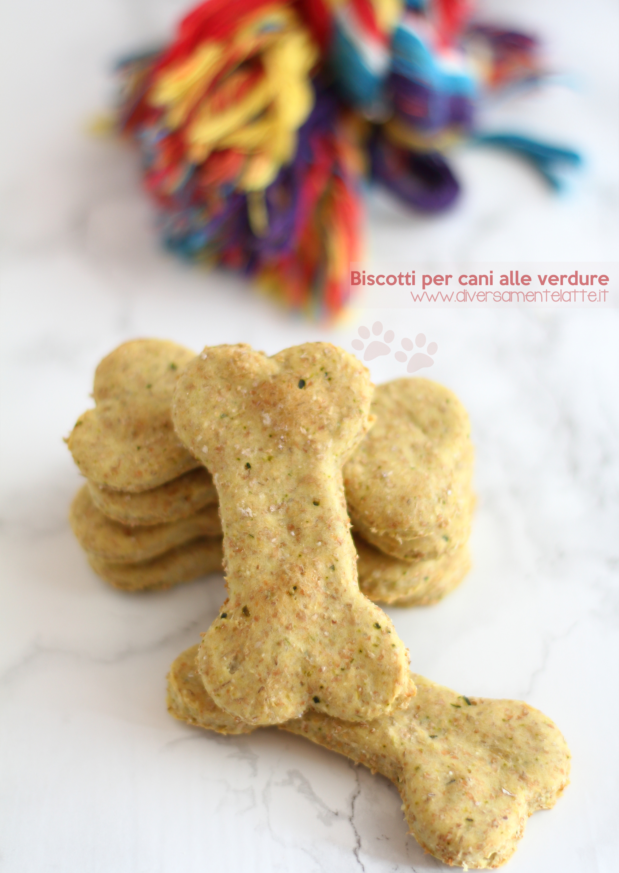 Biscotti per cani alle verdure