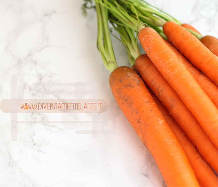 diversamentelatte_ciambellone vegan carote semi oleaginosi