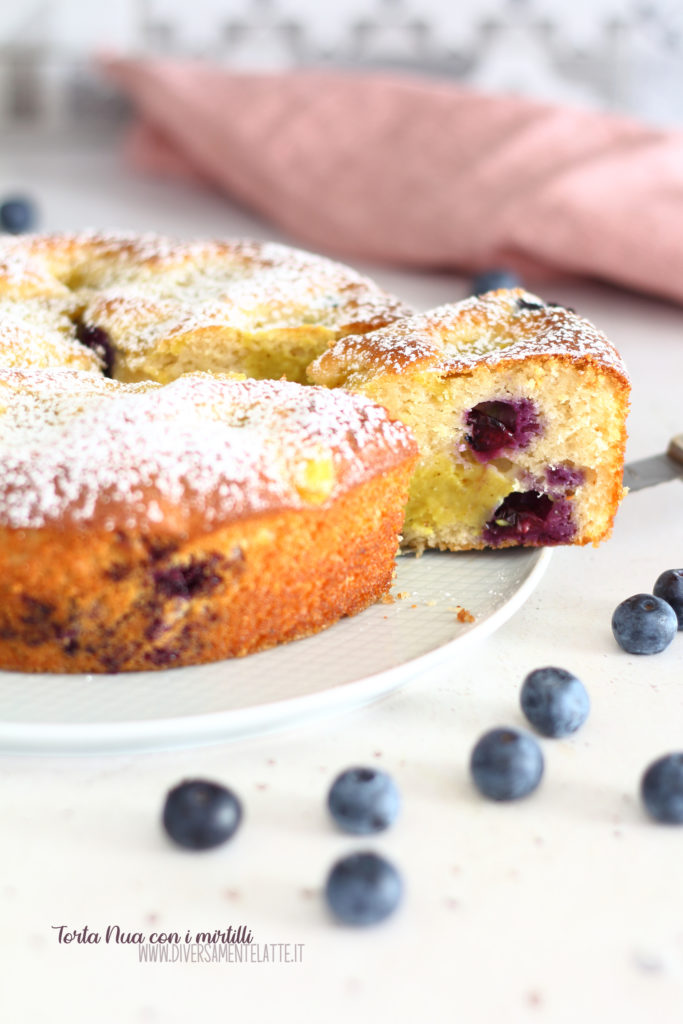 torta nua con i mirtilli